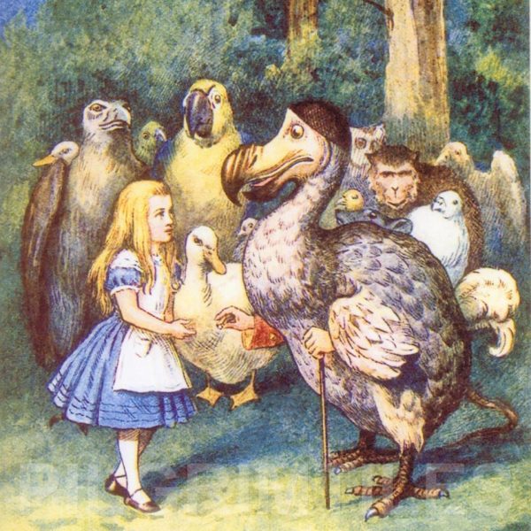 Alice In Wonderland Tile ref 14