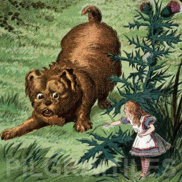 Alice In Wonderland Tile 038