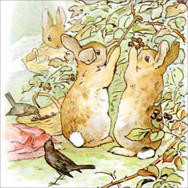 Peter Rabbit Tile 11